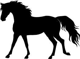 Caballo negro